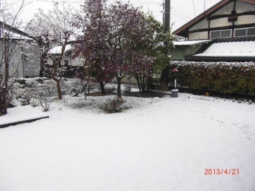 CIMG6768 (640x480).jpg