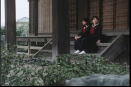 PDVD_009.jpg