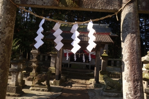 20141123大葦神社例大祭２.jpg