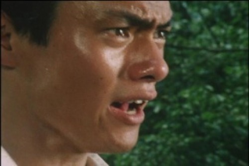 PDVD_021.jpg
