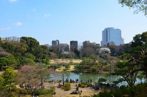 RIKUGIEN FROM HUJISHIRO 4.Apr.2017.jpg