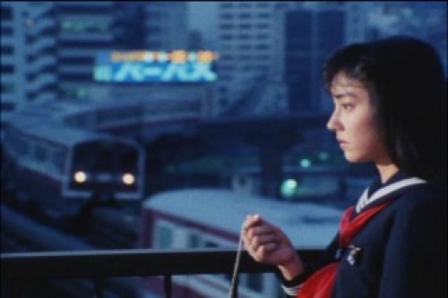 PDVD_048.jpg