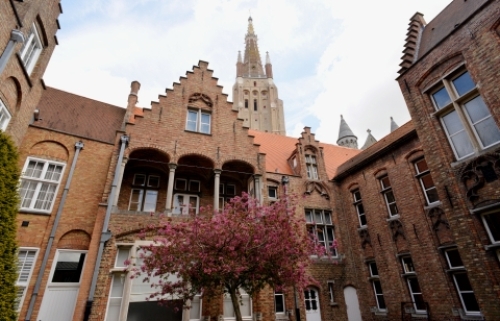 pict-メムリンク 4.jpg