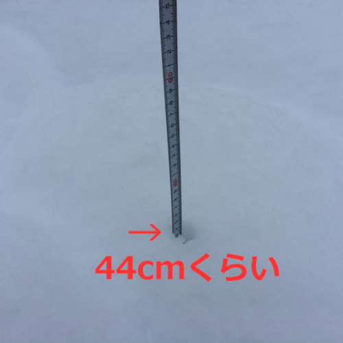 14-02-15　記録的大雪！　44cm　IMG_0875-480.jpg