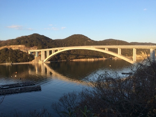 280117_5 (500x375).jpg