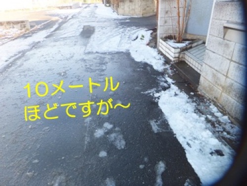 20130116_3.jpg