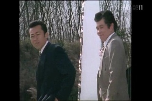 PDVD_029.jpg