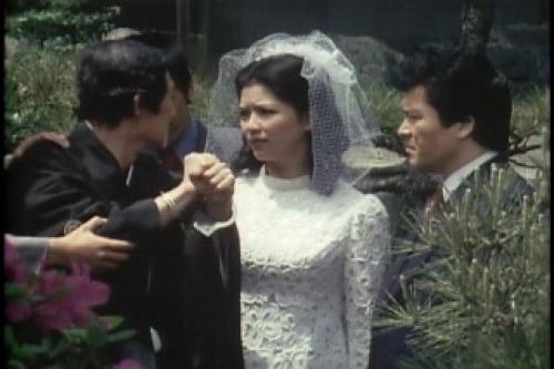 PDVD_029.jpg