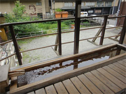 東鳳52.jpg