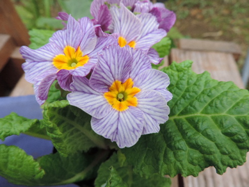 DSCN2355.JPG