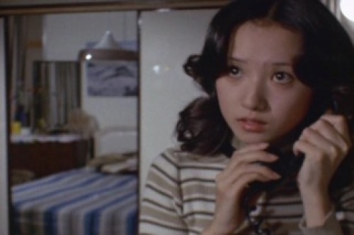PDVD_009.jpg