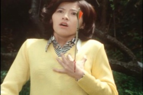 PDVD_061.jpg