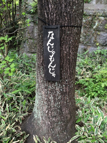 201504261602_1301_iphone.jpg