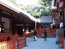 八幡宮2.jpg