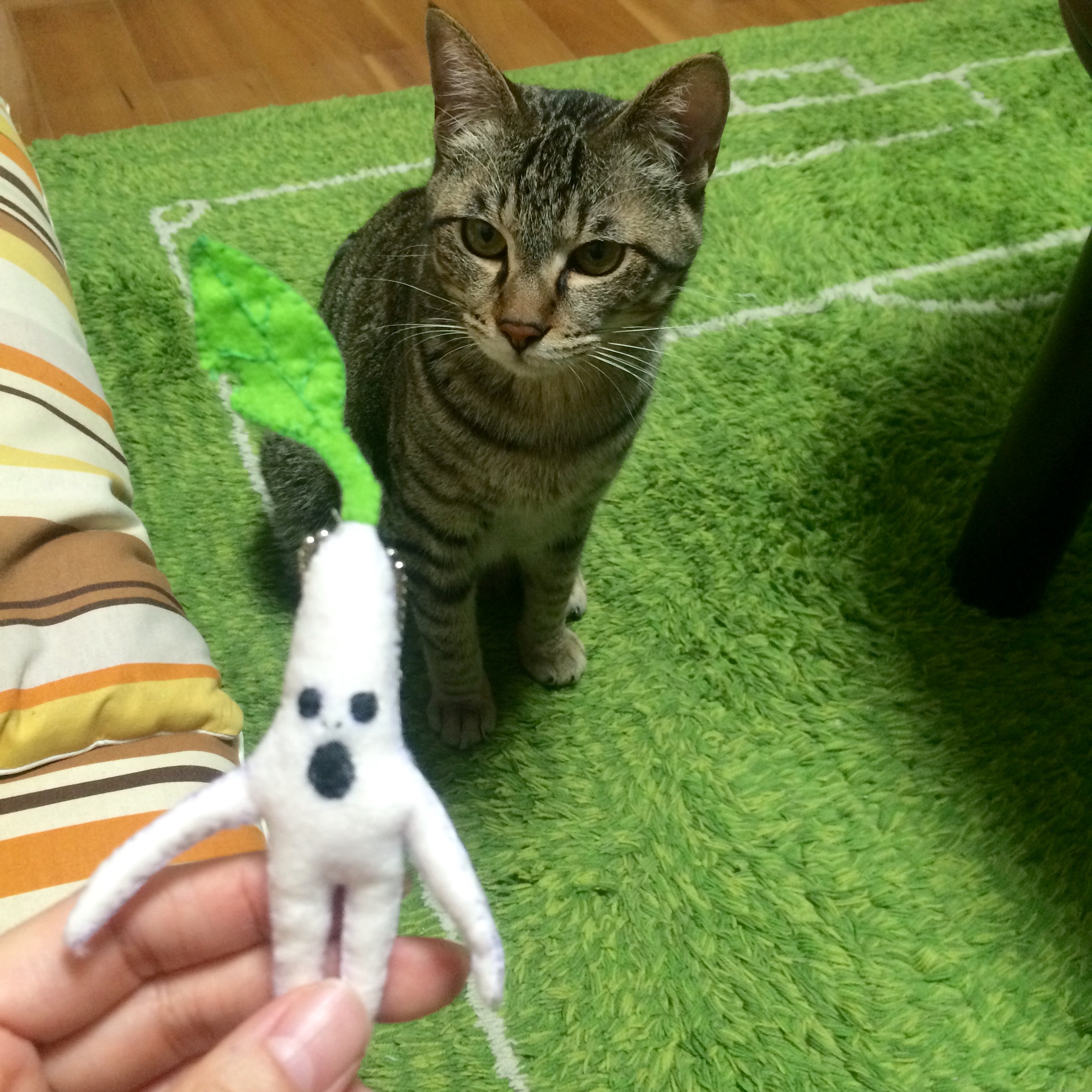 マンドレイクはキャットニップではない 犬と旦那とiga ニャン 楽天ブログ