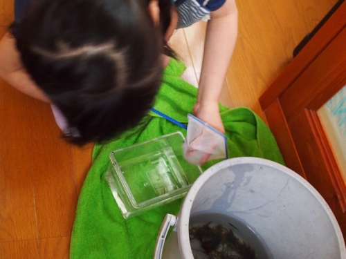 20140427_339.jpg