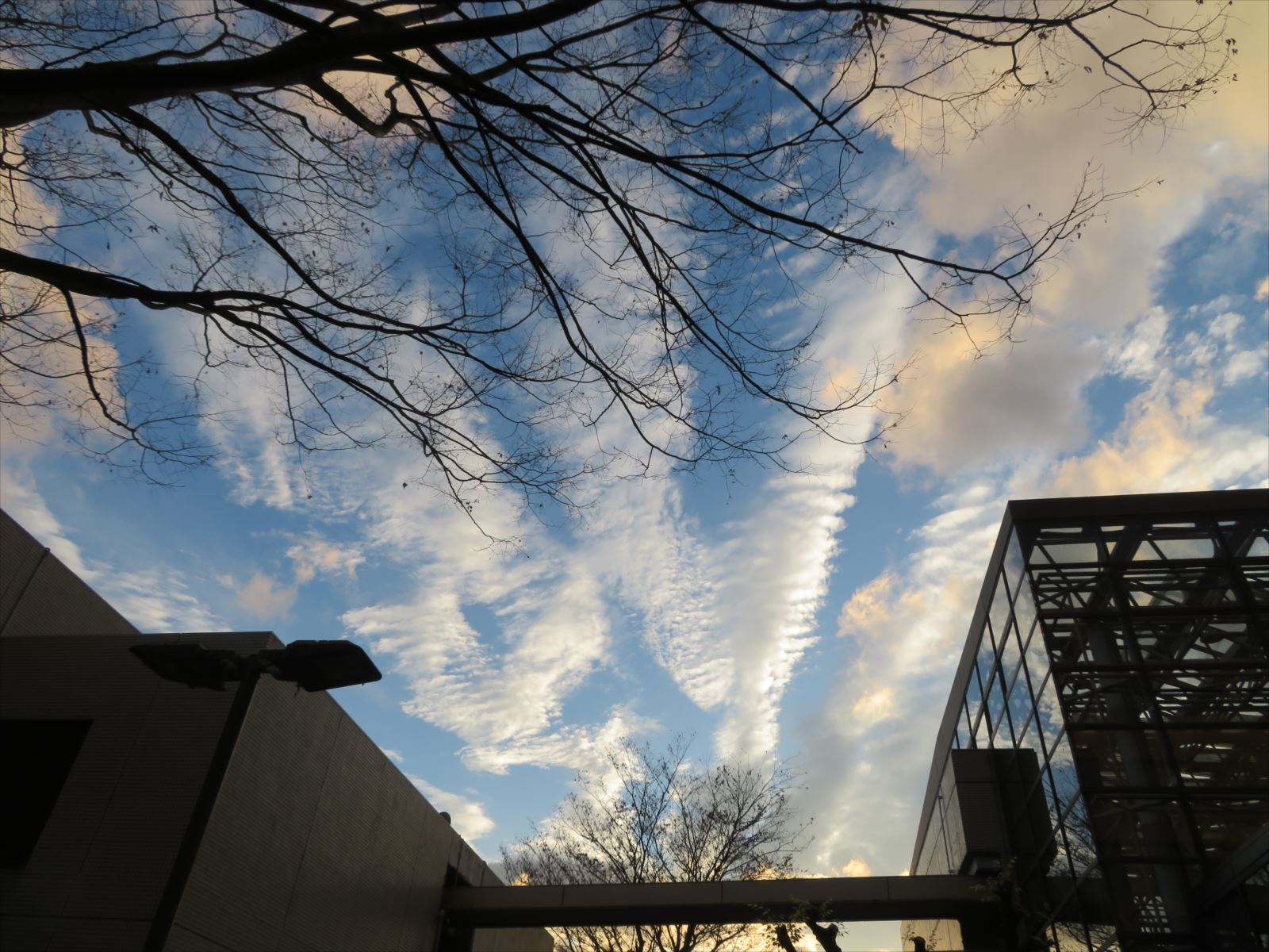 冬の空 12月5日 ニンニク父さんのブログ 楽天ブログ