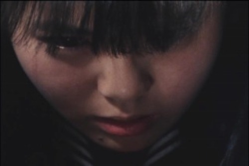 PDVD_032.jpg