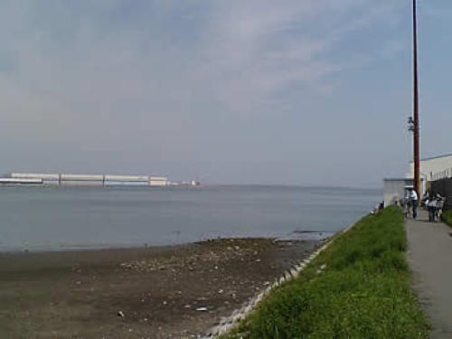 tamagawa01.jpg