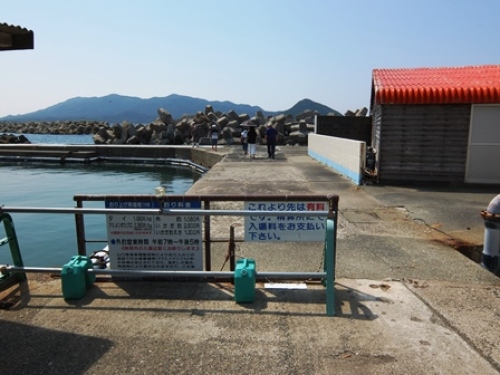 DSCF8844.JPG