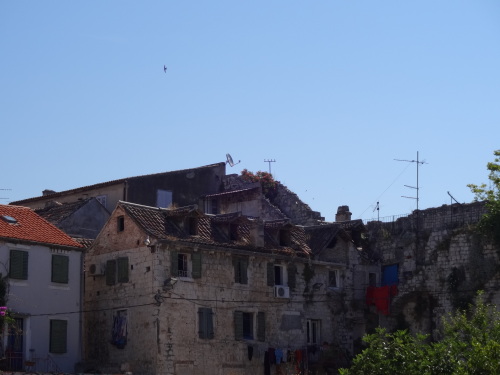 DSC06371.JPG