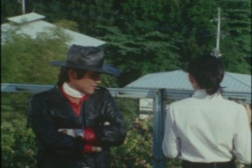 PDVD_017.jpg