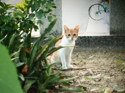 5415(V.2015_11_04__10_02_39).jpg