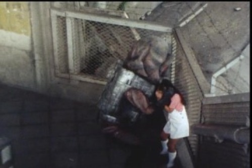 PDVD_005.jpg