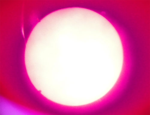 金星日面通過11.jpg