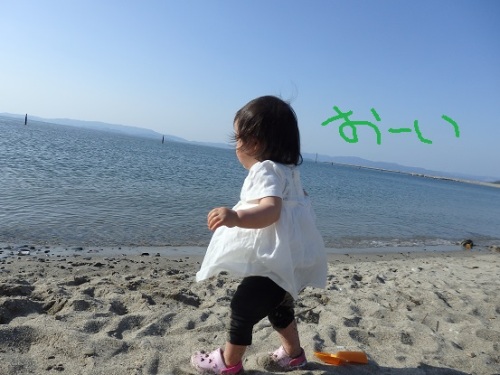 伊良湖海5.JPG
