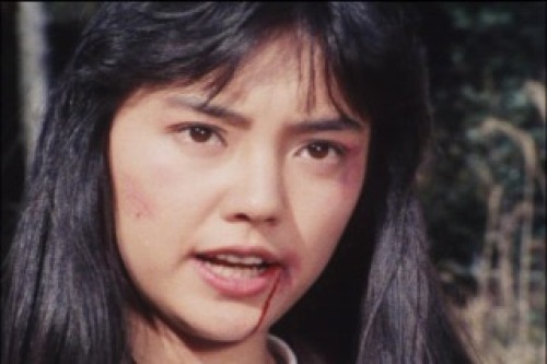 PDVD_269.jpg