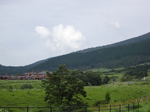 DSC00212.jpg