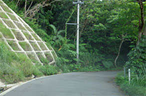 石垣349.jpg
