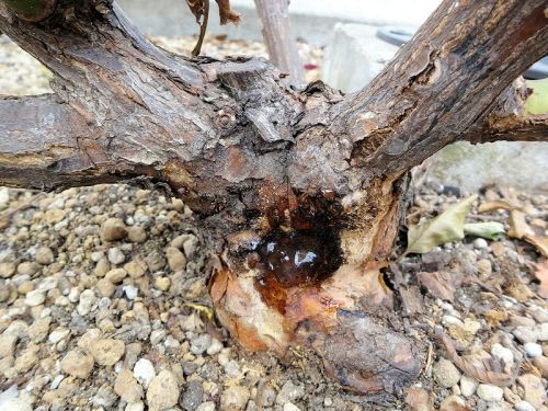 DSC01622 - コピー.jpg