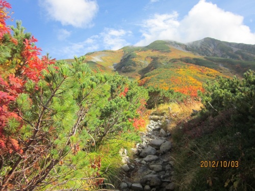 IMG_3297紅葉2.jpg