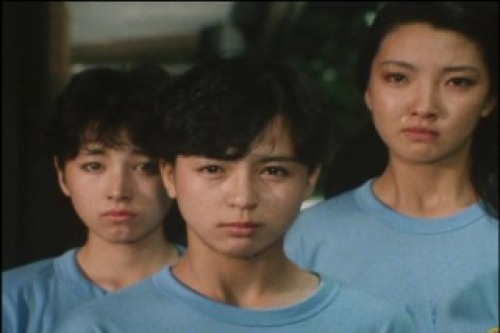 PDVD_024.jpg