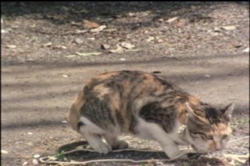 PDVD_037.jpg