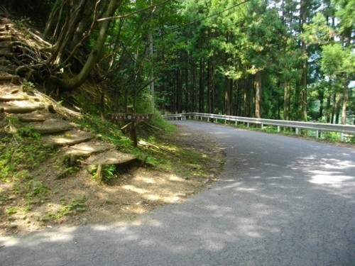 伊豆ヶ岳天目指峠 (2) (500x375).jpg