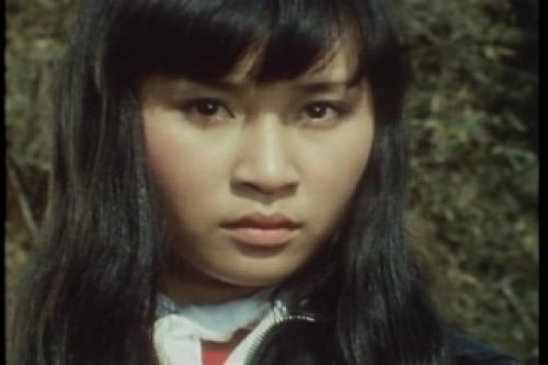 PDVD_012.jpg