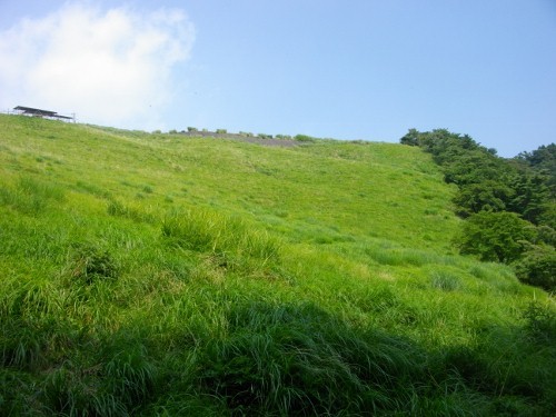 大野山牧草地 (500x375).jpg