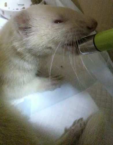 2013081320090001[1].jpg
