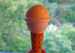 土佐山50.jpg