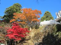 IMG_0415_R.JPG