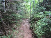 IMG_7792_R.JPG