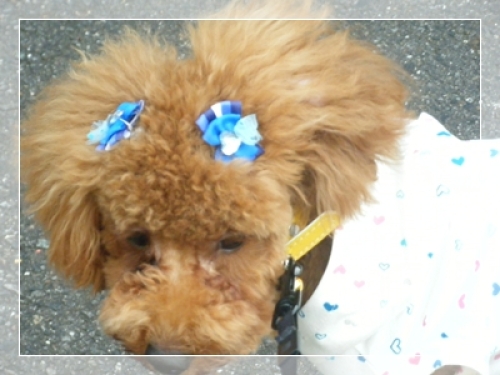 DSCF4996.JPG