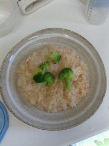 NEC_0111.jpg