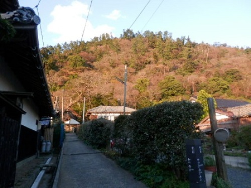 a20かむなび山.jpg