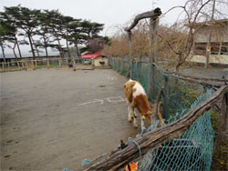 南ヶ丘3.jpg