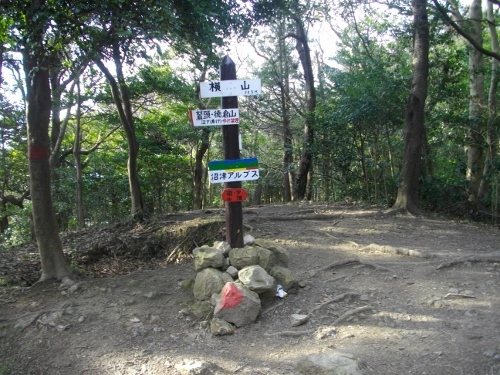 沼津アルプス横山 (3) (500x375).jpg