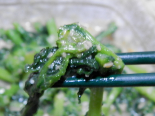 わさび菜ステーキ10.JPG